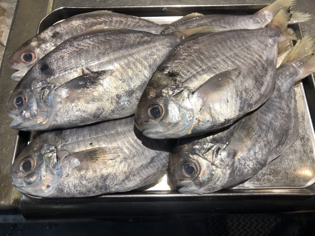 えぼ鯛塩焼き 和風居酒屋 都 みやこ